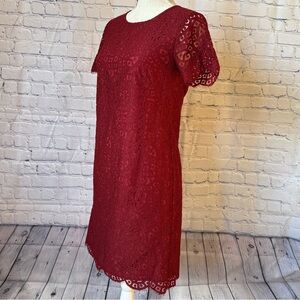Ann Taylor Dark Red Shift Dress Lace Scalloped Short Sleeve S 4
